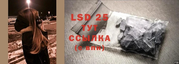ГАЛЛЮЦИНОГЕННЫЕ ГРИБЫ Абаза