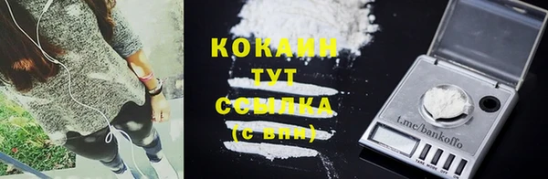 ГАЛЛЮЦИНОГЕННЫЕ ГРИБЫ Абаза