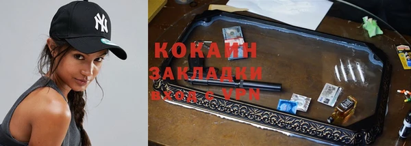 ГАЛЛЮЦИНОГЕННЫЕ ГРИБЫ Абаза