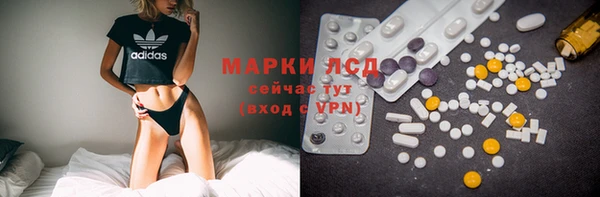 ГАЛЛЮЦИНОГЕННЫЕ ГРИБЫ Абаза