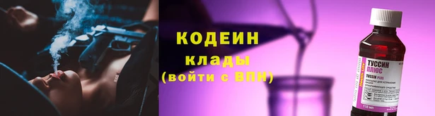 ГАЛЛЮЦИНОГЕННЫЕ ГРИБЫ Абаза