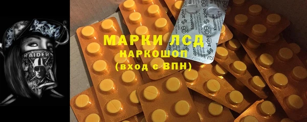 ПСИЛОЦИБИНОВЫЕ ГРИБЫ Инсар