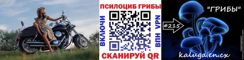 Псилоцибиновые грибы Psilocybe  цены наркотик  ОМГ ОМГ рабочий сайт  Никольское 